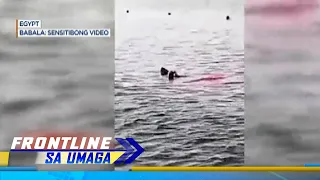 Babae, patay matapos atakihin ng pating sa Red Sea