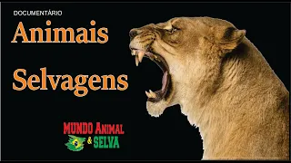 ANIMAIS SELVAGENS -  A Toca da Onça Pintada  - Documentário Dublado - HD