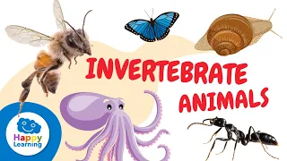 INVERTEBRATE ANIMALS for kids - Arthropods, mollusks, worms, cnidarians, and echinoderms.