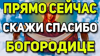 Сильнейшая молитва на Введение во Храм Пресвятой Богородице!