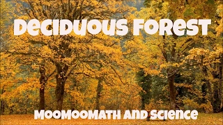 Temperate Deciduous Forest-World Biomes