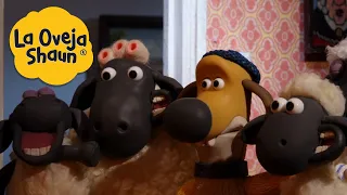 La Oveja Shaun 🐑 Familia feliz 🐑 Dibujos animados para niños