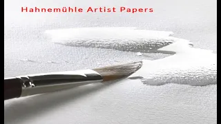 Hahnemuhle 140lb rough paper test