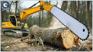 100 Incredible Dangerous Fastest Big Chainsaw Cutting Tree Machines ▶3