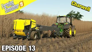 POPLAR HARVESTING Farming Simulator 19 - Charwell with Daggerwin Ep 13