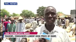 Discover Yobe’s Potiskum Cattle Market; Largest in West Africa but Costly Rams