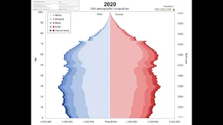 USA racial composition population pyramid 1900-2020