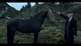 Thomas shoots a horse | S05E01 | Peaky Blinders.