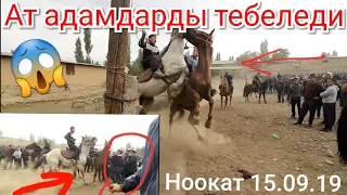 🐎АТ ТАЛАШ БОЛДУ😱Ноокат СЫНДУУ жылкылары 15.09.19