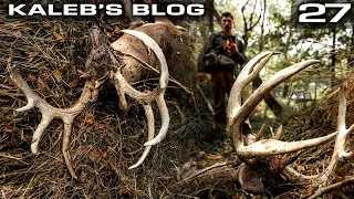 180" Buck and MULTIPLE Dead Deer, EHD?? | Kaleb's Blog