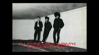 80'S POST PUNK, COLDWAVE [RARE]