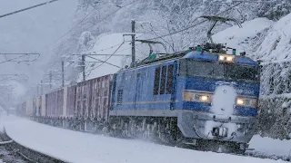 【雪景色】EF81・EF510貨物列車 冬の日本海縦貫線を行く / Freight train in the Snow