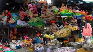 Cambodian Routine Fresh Market Food & Vegetable Compilation - Best Cambodian Market Tours