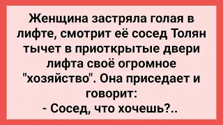 Сосед Толян в Лифте Показал Хозяйство! Сборник Свежих Смешных Жизненных Анекдотов!