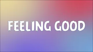 Michael Buble - Feeling Good ( Clean Lyrics ) "And I'm feeling good I'm feeling good"