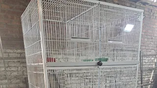 cage 8p 3x2x1.5 half angle #birds #cage #birdcages #pigeon #petaccessories #dogcage #cat #catcage