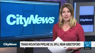 Trans Mountain pipeline oil spill near Abbotsford