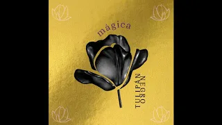 Tulipán Negro - Mágica