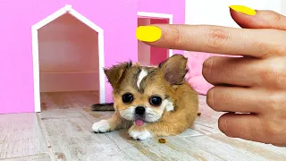 Rescued the smallest pet !! Building a NEW Amazing HOUSE for Pets