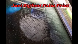 New Juvenile Bigfoot Palm Print