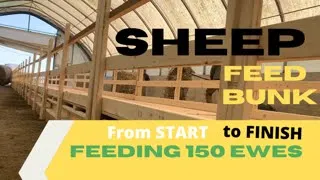 Building a Sheep Feed Bunk. From START to FINISH.