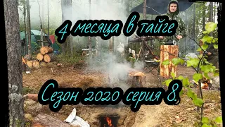 Сезон 2020 серия 8. Охота,  медведь и муравейник, точка 22 км.