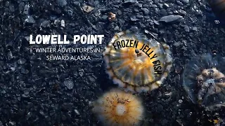 Lowell Point(Frozen Jelly Fish) - Winter Adventures In Seward Alaska