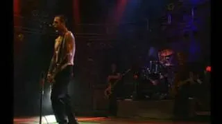 Social Distortion   Ring Of Fire   Live At Rock Am Ring 1997