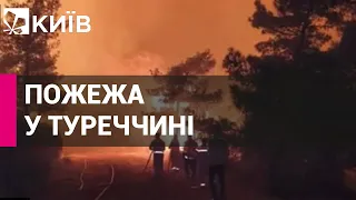 Пожежа в Туреччині: боротьбу з вогнем ведуть 20 вертольотів і 14 літаків