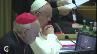 Pope Francis' cardinal reform