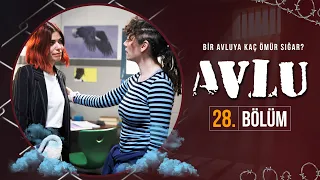 Avlu 28. Bölüm (Full HD)