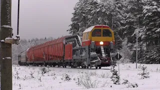 Полярный экспресс.07.01.2021 год.