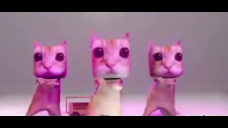 El gato dancing (Lose Control)
