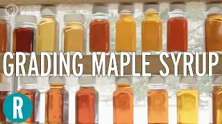 How Do They Make Maple Syrup?