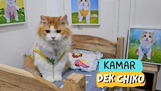Dek Chiko kini punya Kamar. funny video, cats, pet, pets, animal, animals, trending, viral, kucing.