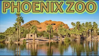 Phoenix Zoo Animals Tour