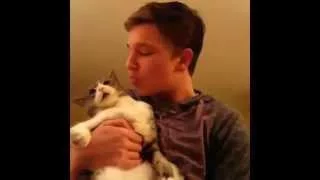 Кот который не любит целоваться