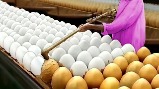 World's Most Satisfying Video...