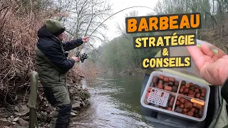 Strategy And Tips For Catching Barbel!