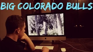 2016 Public Land OTC Colorado Elk Hunt Pt 1