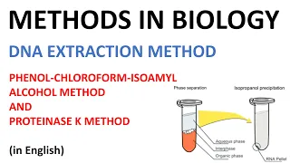 DNA extraction methods - Phenol Cholorofom Isoamyl Alcohol method and Proteinase K method (English)