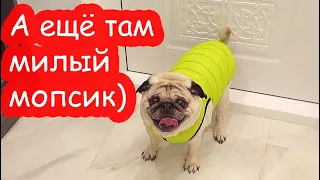 VLOG Будем жить у Нади (канал Милый ёжик)