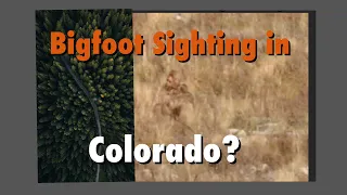 Bigfoot Sighting in Colorado 10/2023?