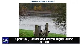 When Heuristics Backfire - OpenSUSE, SanDisk and Western Digital, 8Base, TSSHOCK