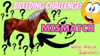 BREEDING CHALLENGE 1: MIS-MATCH HORSES?! WILD HORSE ISLAND