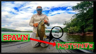 Fishing the SPAWN to POSTSPAWN Transition (Raystown Lake)