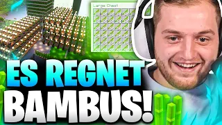 😱🤯8 WEITERE BAMBUS FARMEN bauen! - XP PROJEKT ESKALIERT KOMPLETT in Craft Attack 10