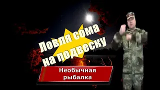 Ловля сома на подвеску