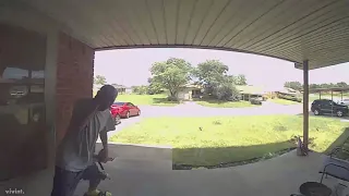 WATCH: Snake bites Oklahoma man in face