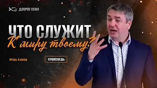 Что служит к миру твоему? | проповедь | Игорь Азанов